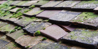 Stratton Chase roof repair costs
